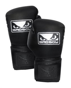 Перчатки боксерские Bad Boy Pro Series 2.0 Training Boxing Gloves