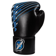 Перчатки боксерские Hayabusa Ikusa Charged 12oz Black/Blue - фото 14475