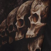 Шорты VELO Skull черно-коричневые - рисунок