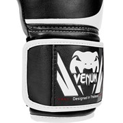 Перчатки боксерские Venum Challenger 2.0 Black - фото 7864