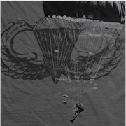 Футболка Ranger Up Airborne Trooper Normal Fit T-Shirt - фото 8133
